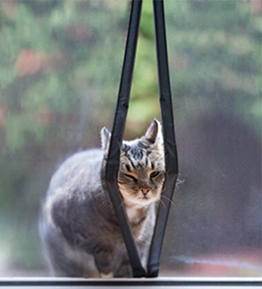 Can Cats Get Through Magnetic Screen Door?