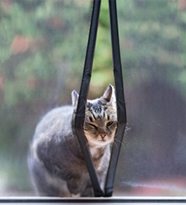 Can Cats Get Through Magnetic Screen Door？